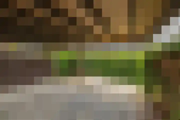 Jonkvrouwlaan 11 Sassenheim thumbnail 47