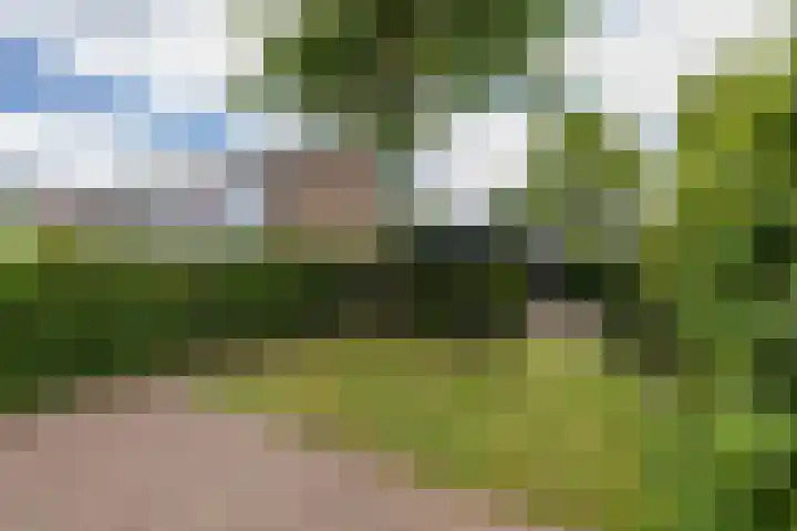 Jonkvrouwlaan 11 Sassenheim thumbnail 49