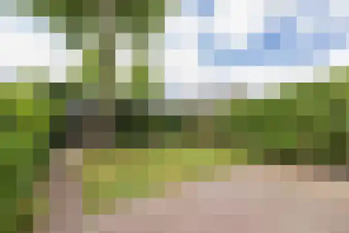 Jonkvrouwlaan 11 Sassenheim thumbnail 50