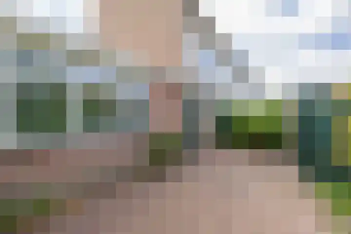 Jonkvrouwlaan 11 Sassenheim thumbnail 53