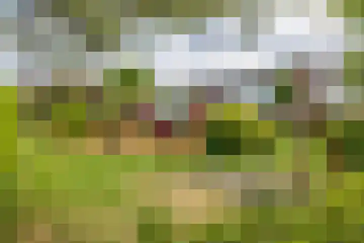 Jonkvrouwlaan 11 Sassenheim thumbnail 54