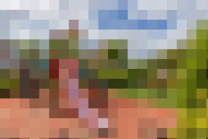 Jonkvrouwlaan 11 Sassenheim thumbnail 55