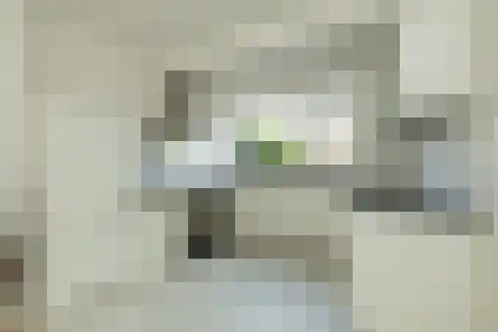 Jonkvrouwlaan 11 Sassenheim thumbnail 7
