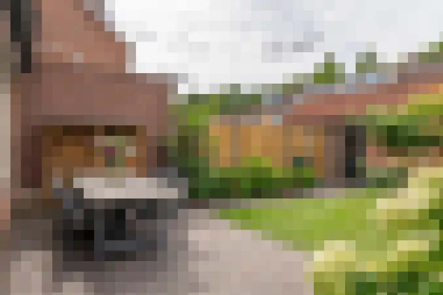Jonneveen 18 Eemnes thumbnail 38