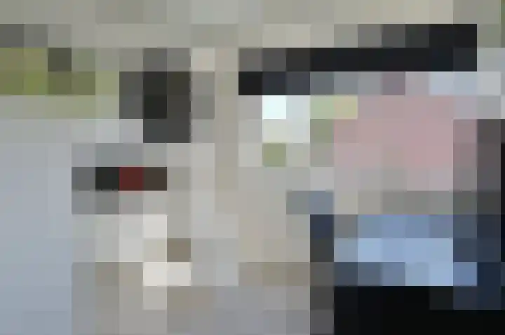 Jonneveen 20 Eemnes thumbnail 12