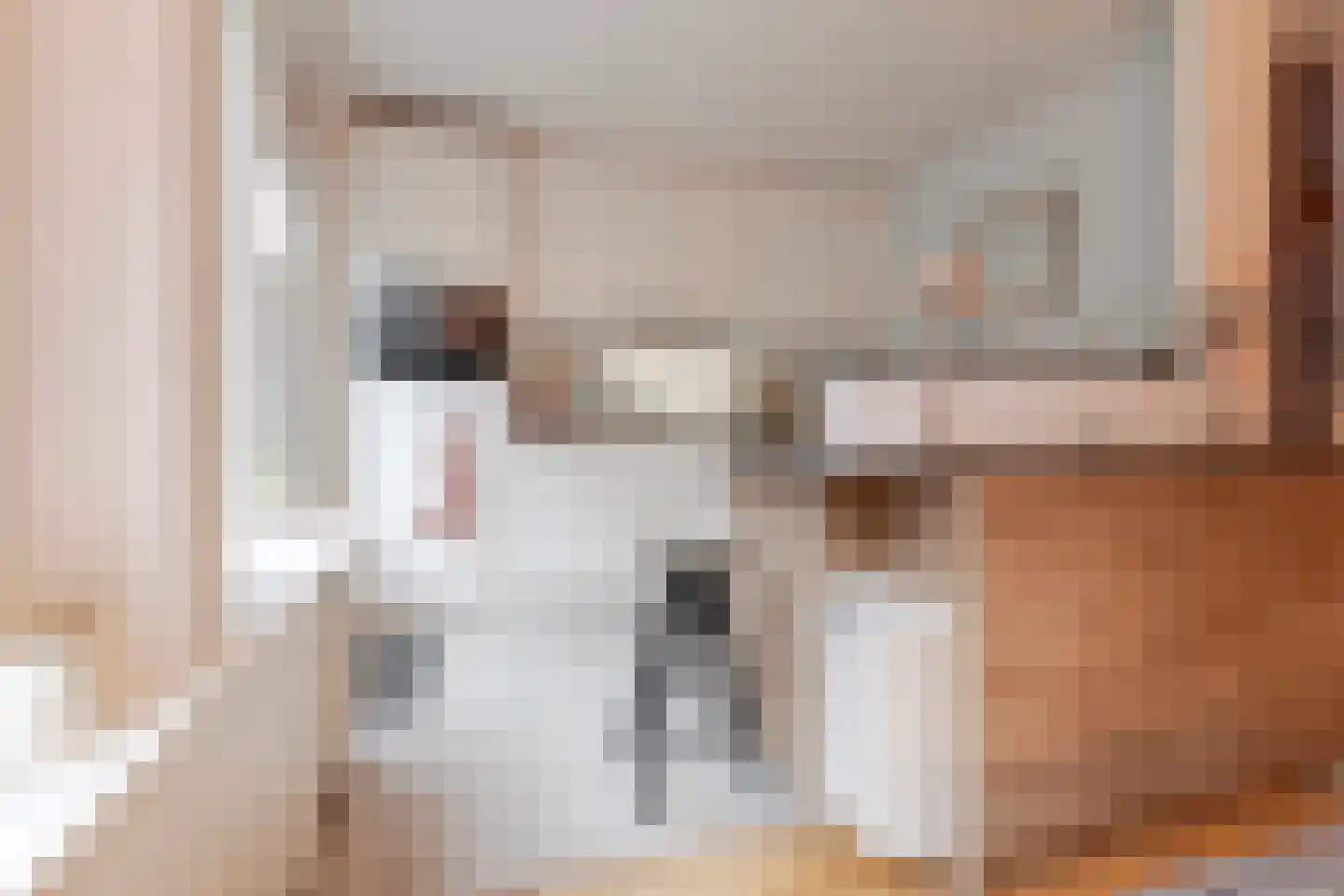Jonneveen 37 Eemnes thumbnail 14