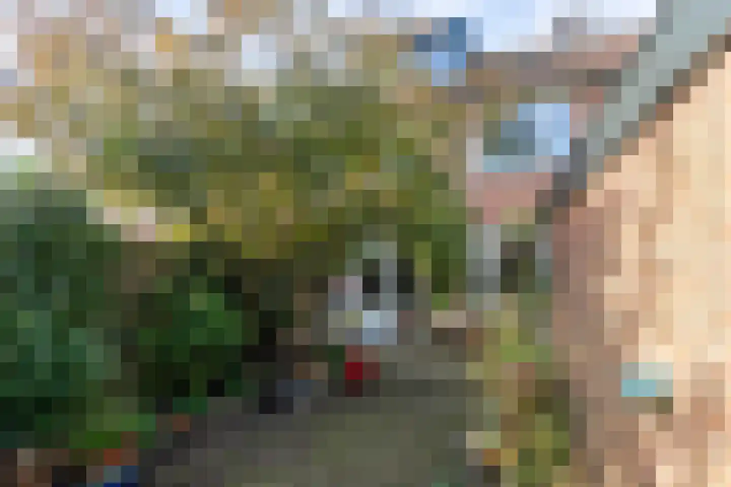 Jonneveen 37 Eemnes thumbnail 39
