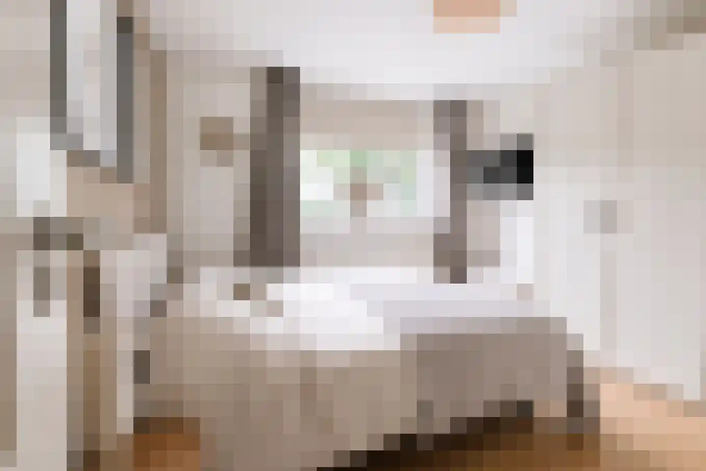 Jonneveen 4 Eemnes thumbnail 12