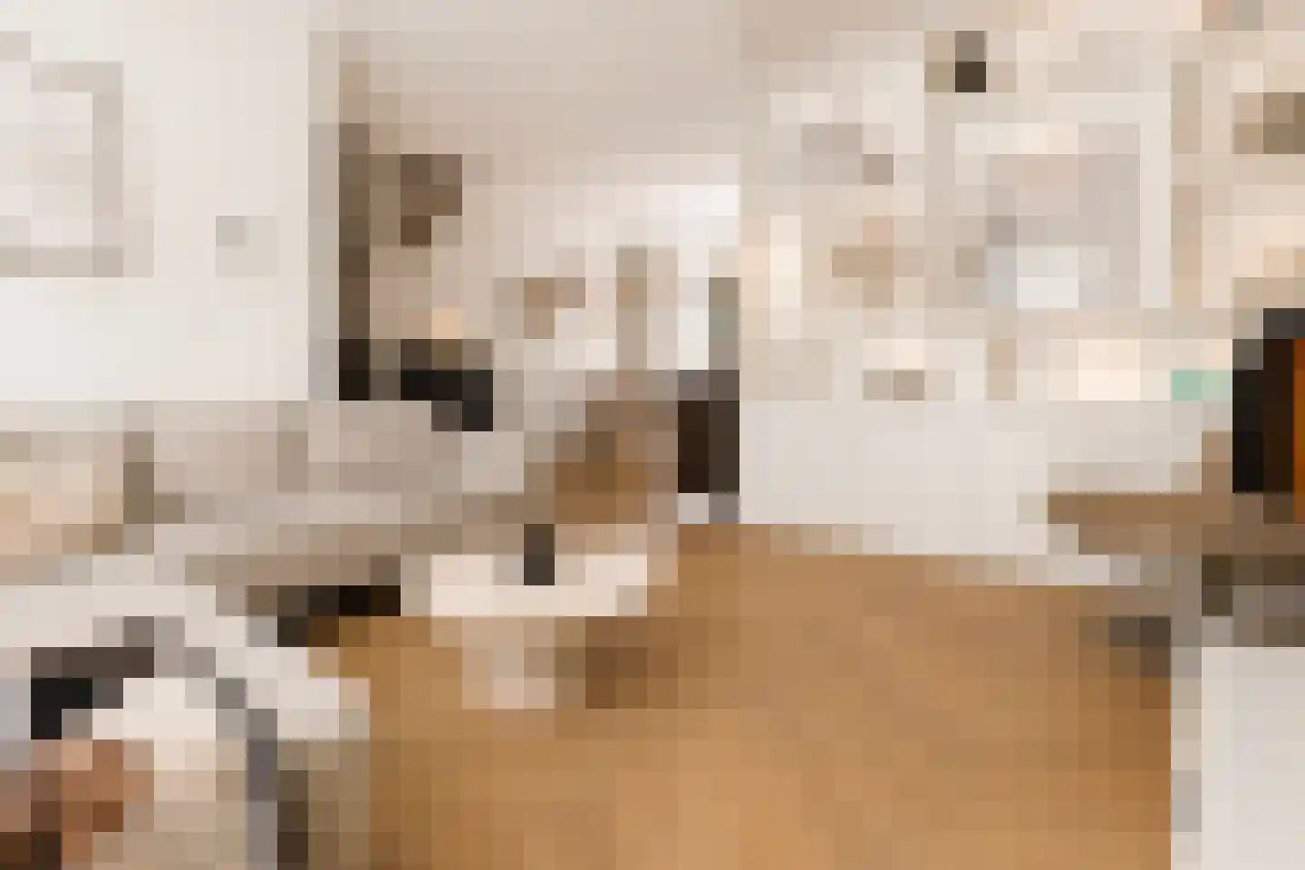 Jonneveen 4 Eemnes foto 2
