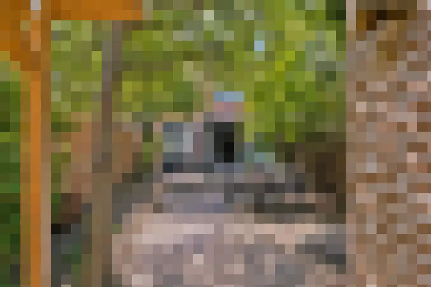 Jonneveen 4 Eemnes thumbnail 22