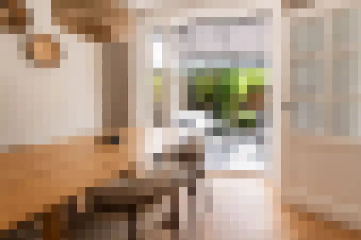 Jonneveen 4 Eemnes thumbnail 6