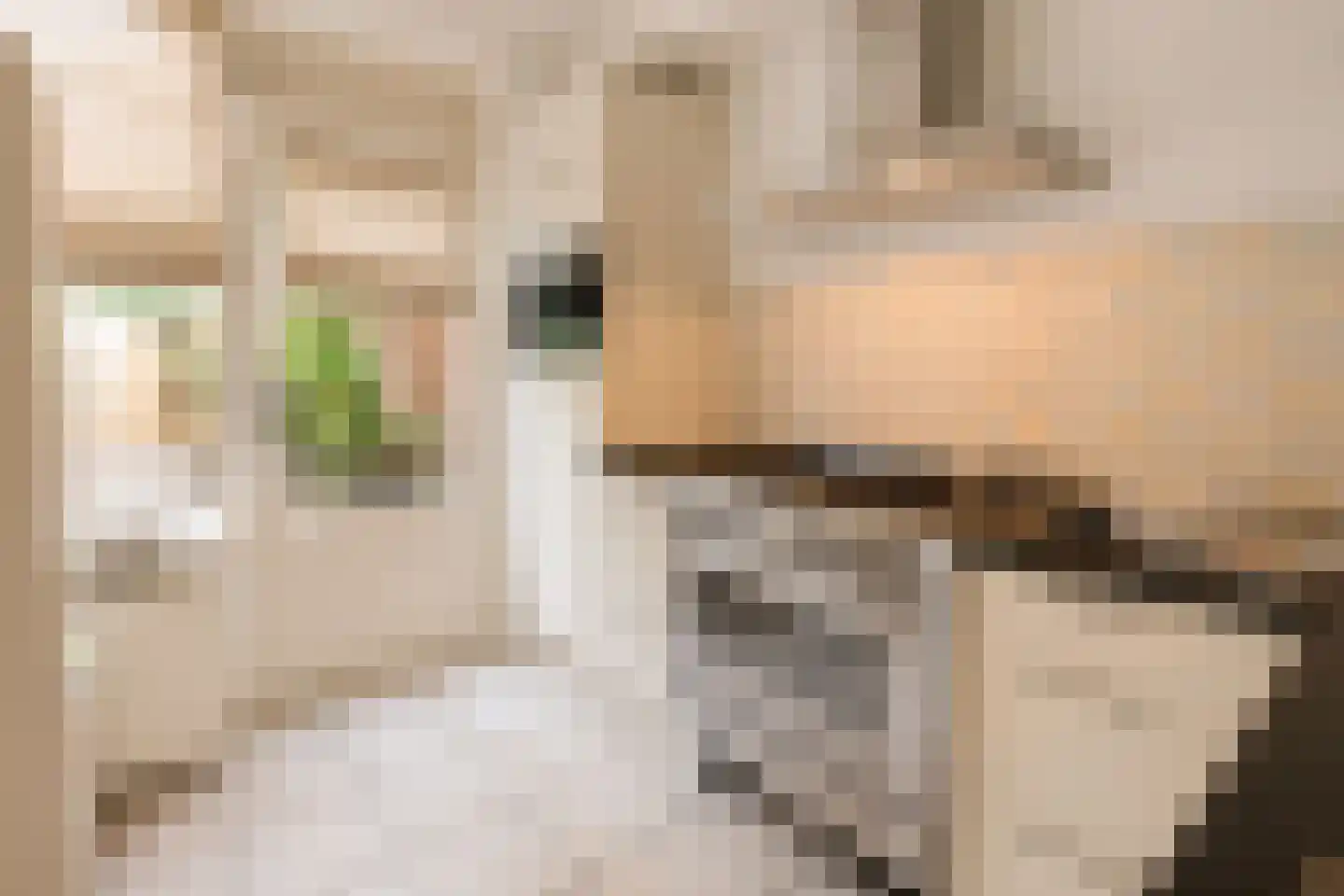 Jonneveen 4 Eemnes thumbnail 9