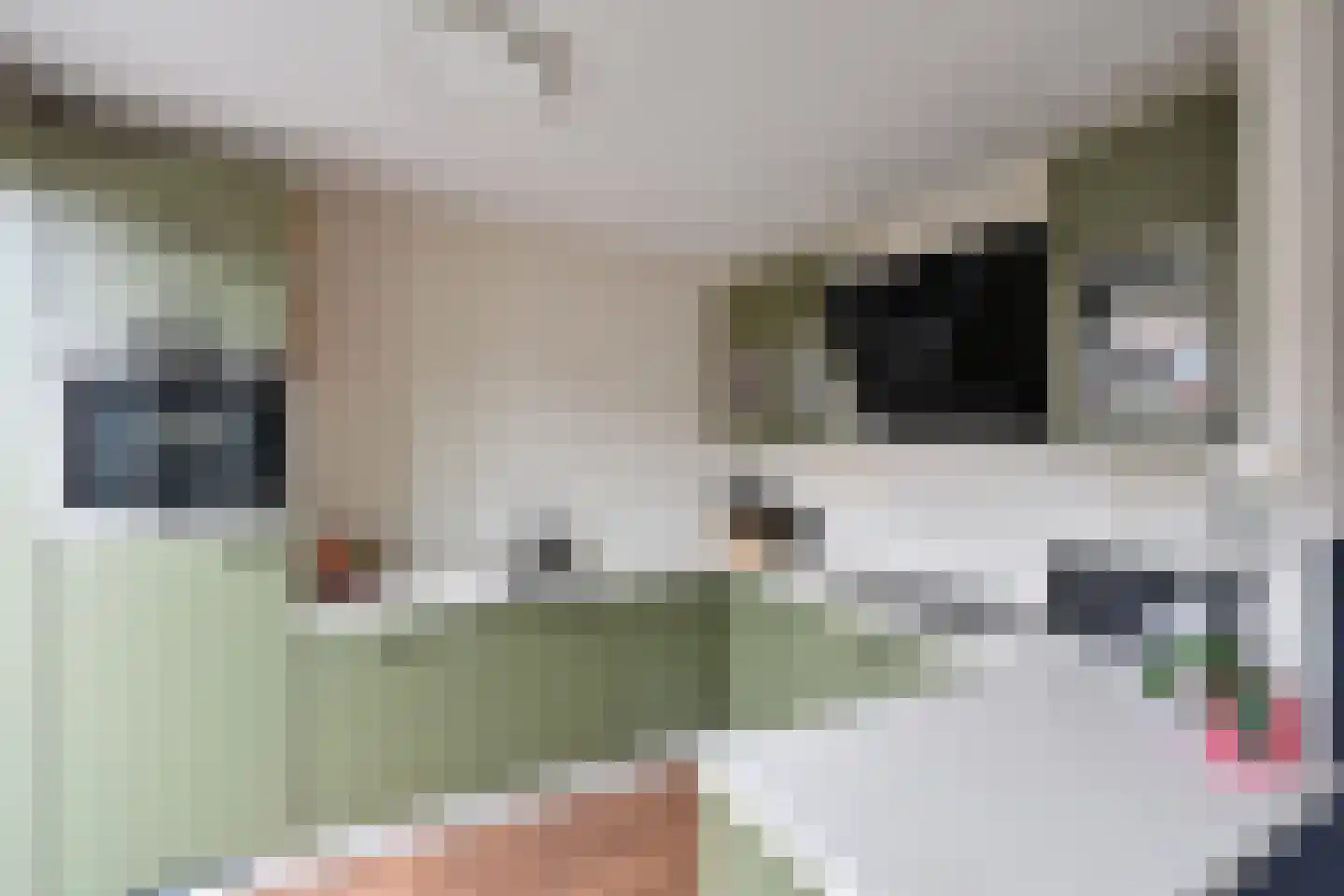 Jonneveen 8 Eemnes thumbnail 8