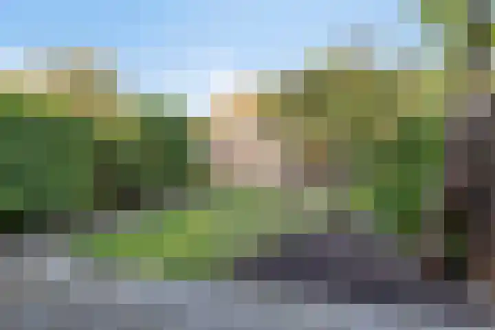 Joon 11 Hoogvliet Rotterdam thumbnail 10