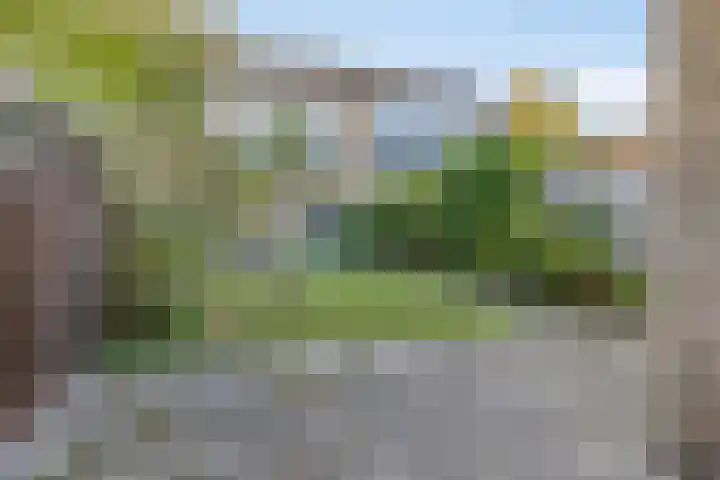 Joon 11 Hoogvliet Rotterdam thumbnail 11