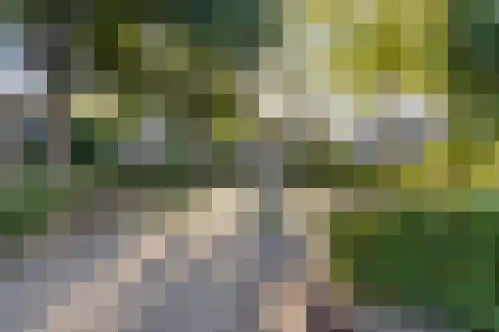 Joon 11 Hoogvliet Rotterdam thumbnail 32