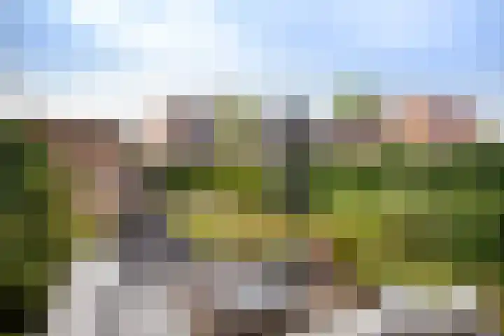 Joop den Uylhof 10 Woerden thumbnail 27