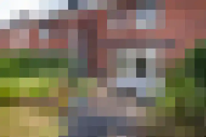 Joop den Uylhof 10 Woerden thumbnail 29