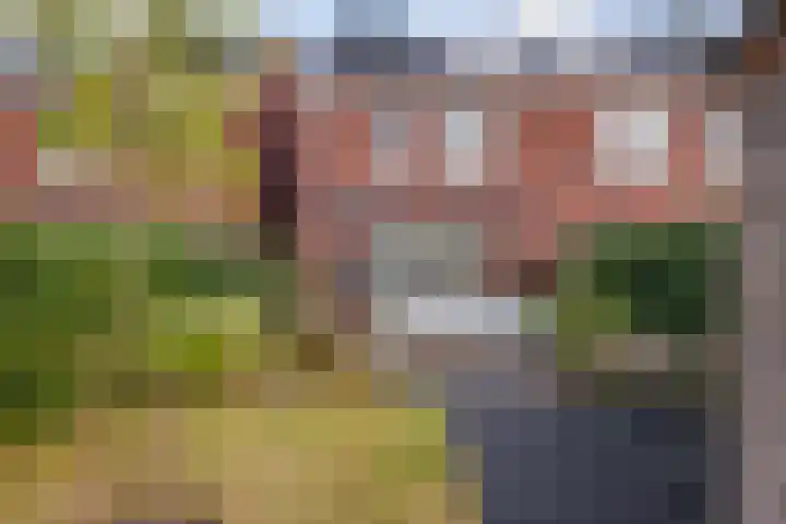 Joop den Uylhof 10 Woerden thumbnail 30
