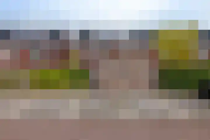 Joop den Uylhof 10 Woerden thumbnail 32