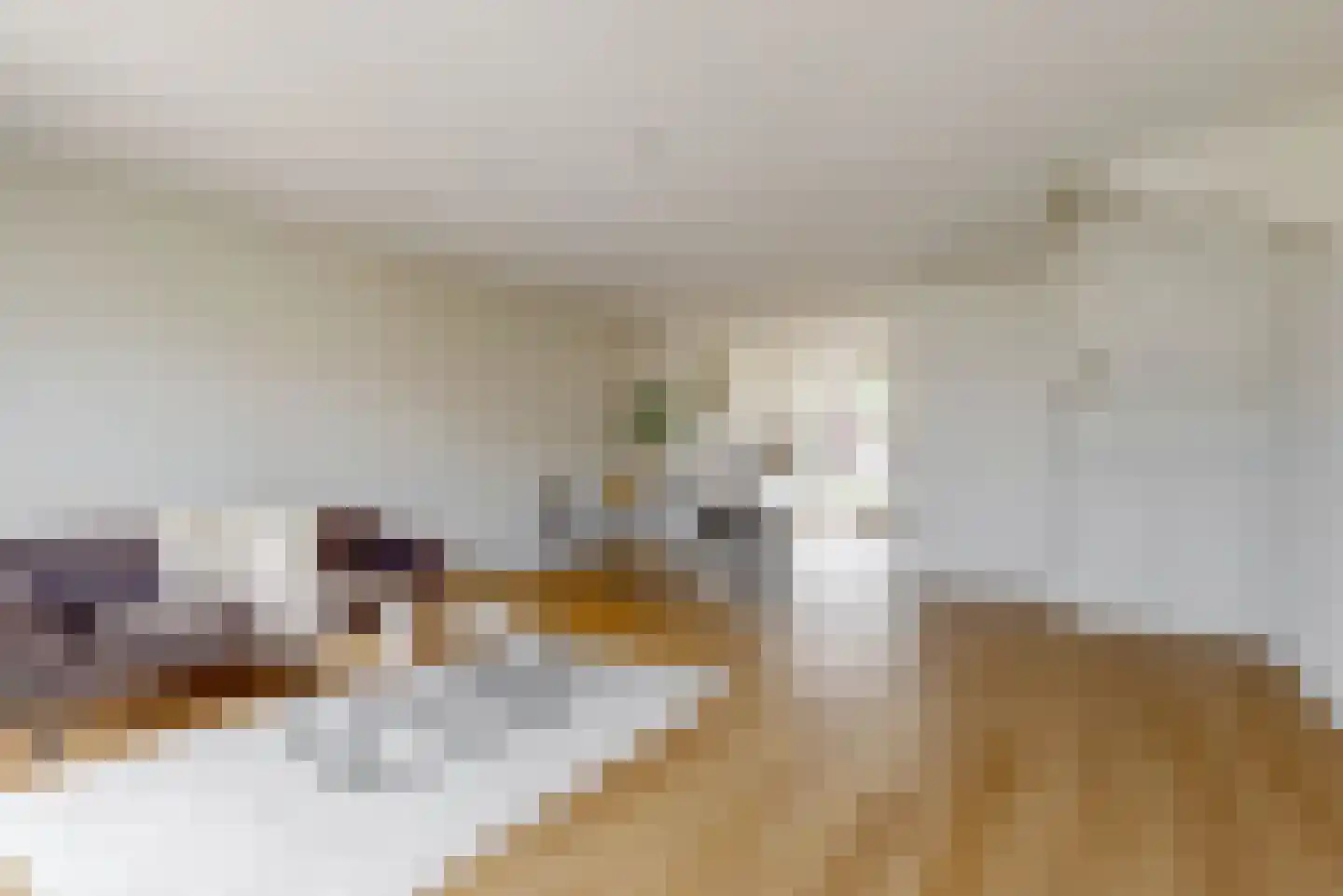 Joop den Uylhof 13 Woerden thumbnail 7