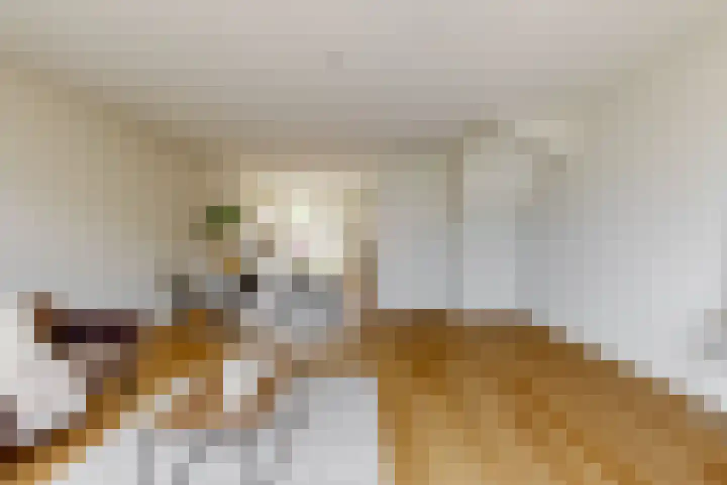 Joop den Uylhof 13 Woerden thumbnail 8
