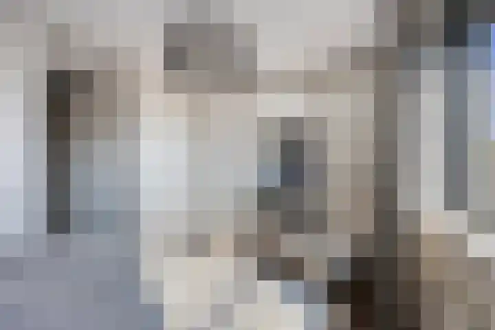 Joop den Uylhof 15 Veenendaal thumbnail 17