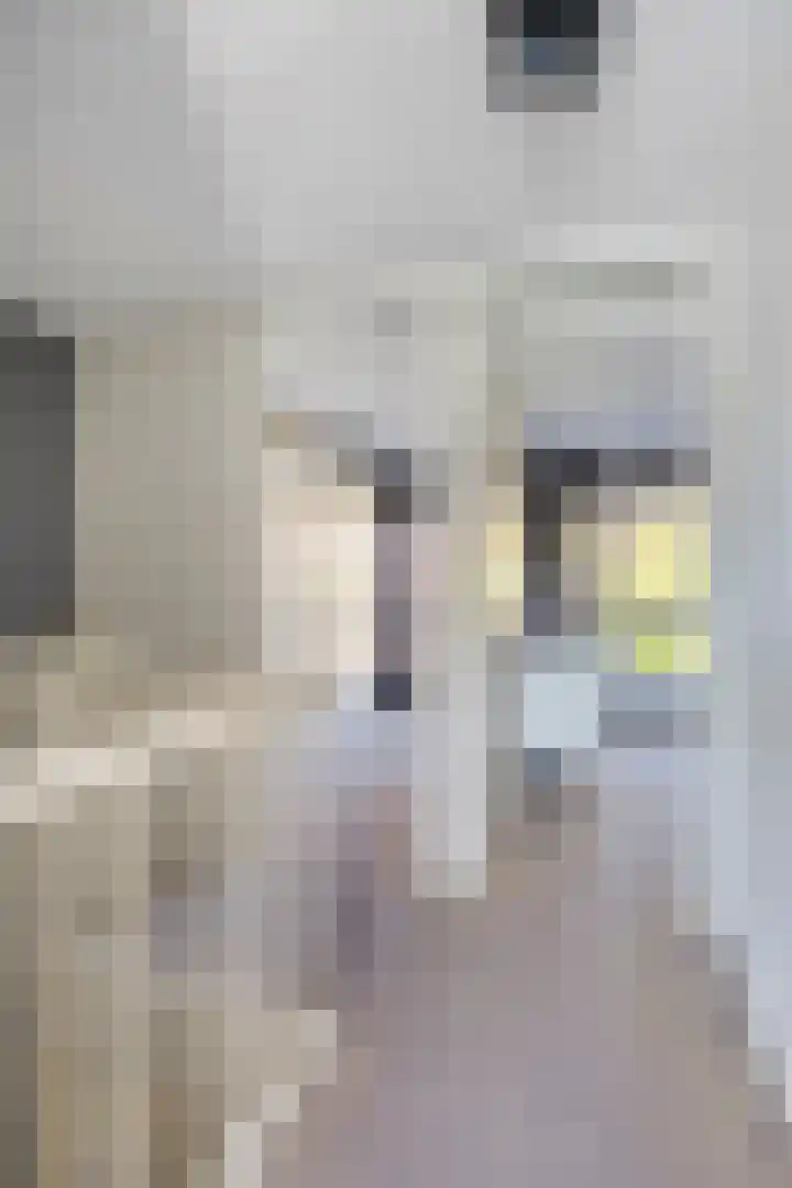 Joop den Uylhof 15 Veenendaal thumbnail 23