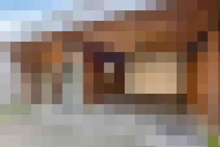 Joop den Uylhof 15 Veenendaal thumbnail 26