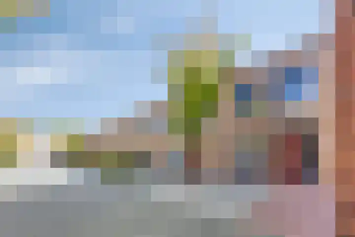 Joop den Uylhof 15 Veenendaal thumbnail 30