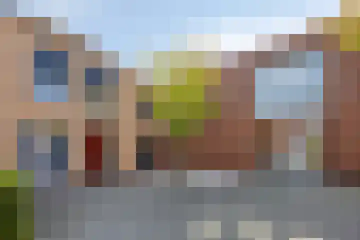 Joop den Uylhof 15 Veenendaal thumbnail 31