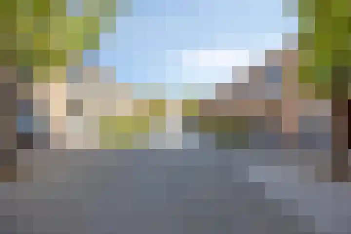 Joop den Uylhof 15 Veenendaal thumbnail 32