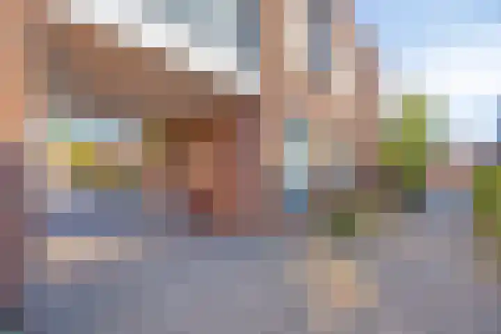 Joop den Uylhof 15 Veenendaal thumbnail 33