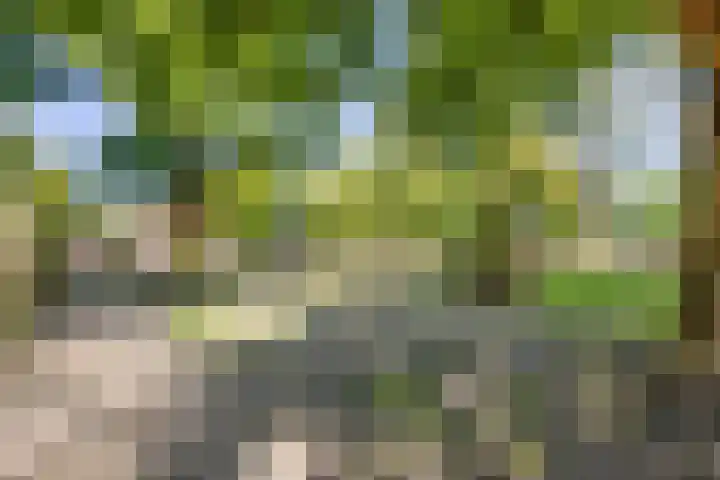 Joop den Uylhof 15 Veenendaal thumbnail 35