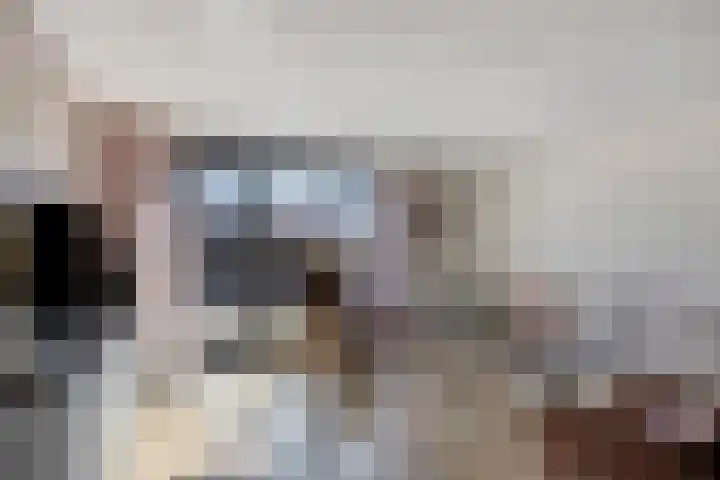 Joop den Uylhof 15 Veenendaal thumbnail 7
