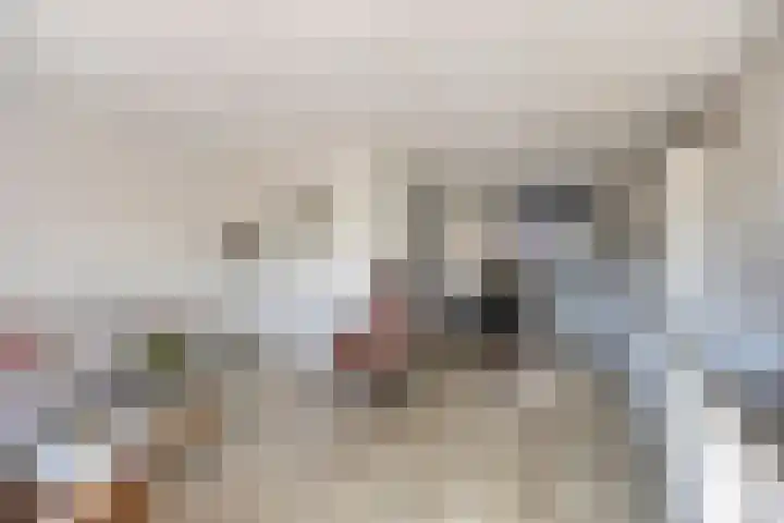 Joop den Uylhof 15 Veenendaal thumbnail 9