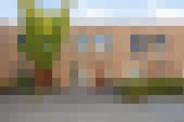Joop den Uylhof 5 Veenendaal