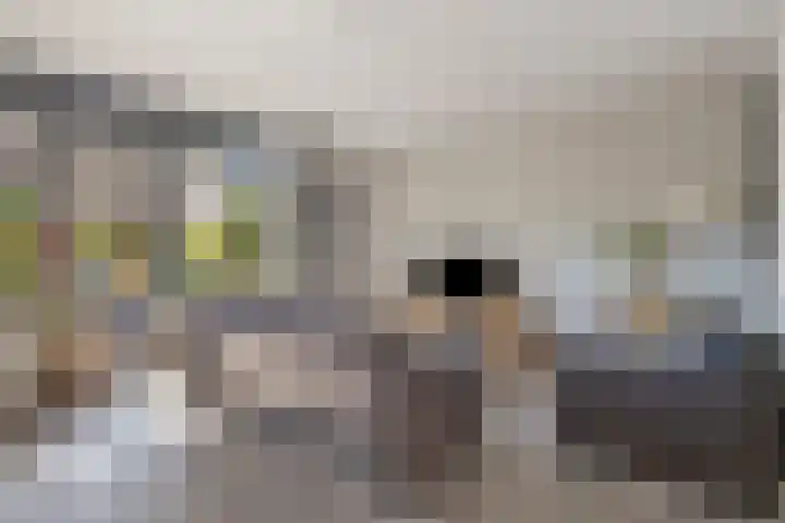 Joop den Uylhof 5 Veenendaal thumbnail 14