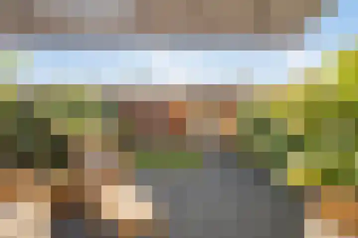 Joop den Uylhof 5 Veenendaal foto 2
