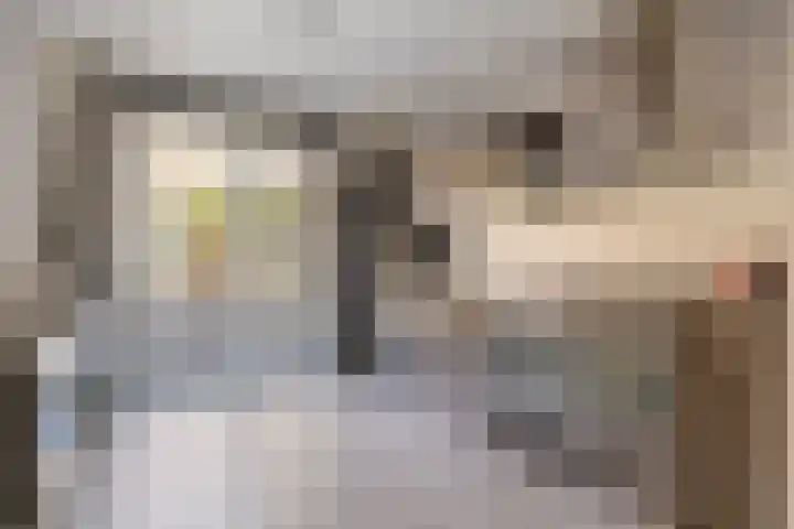 Joop den Uylhof 5 Veenendaal foto 3