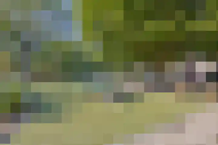 Joop den Uylhof 5 Veenendaal thumbnail 31