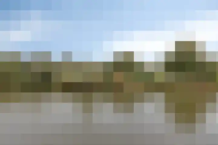 Joop den Uyllaan 105 Schiedam thumbnail 17