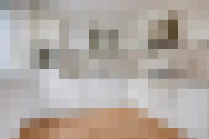 Joop den Uyllaan 105 Schiedam thumbnail 7