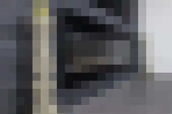 Joop den Uyllaan 11 Schiedam thumbnail 10