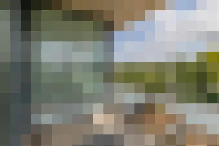 Joop den Uyllaan 11 Schiedam thumbnail 32