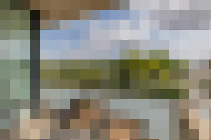 Joop den Uyllaan 11 Schiedam thumbnail 33