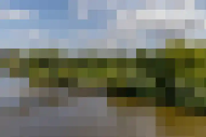 Joop den Uyllaan 11 Schiedam thumbnail 35