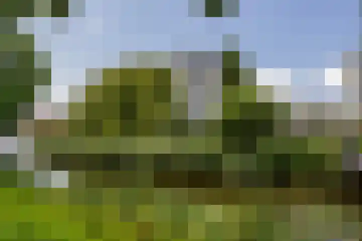 Joop den Uyllaan 11 Schiedam thumbnail 42