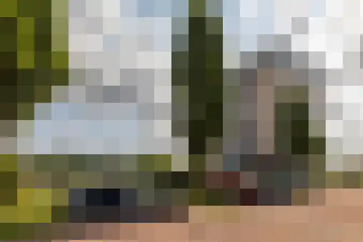 Joop den Uyllaan 11 Schiedam thumbnail 47