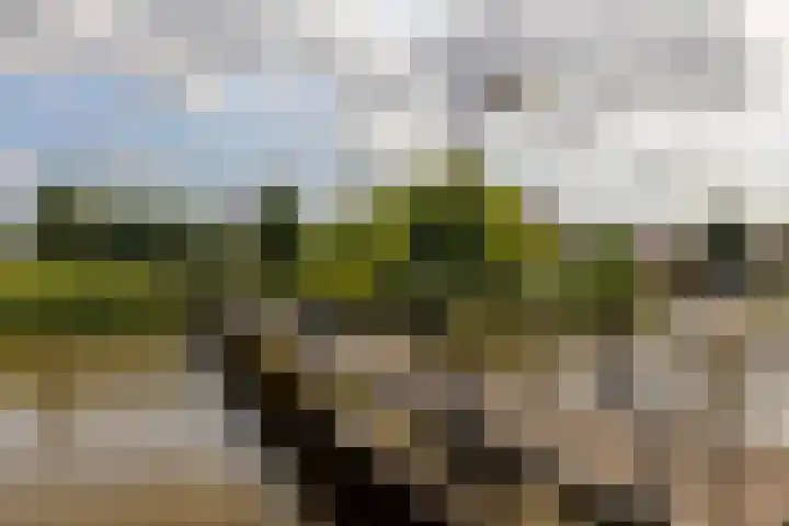 Joop den Uyllaan 11 Schiedam thumbnail 55